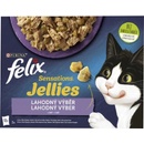 Krmivo pro kočky Felix Sensations výběr v ochuceném želé s jehněčím makrelou sleďem a krůtou 12 x 85 g
