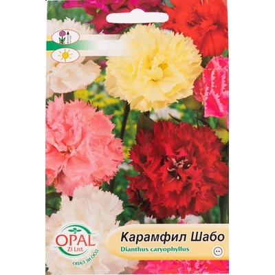 Opal Zi Карамфил шабо