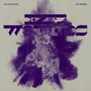 WALLFLOWERS - EXIT WOUNDS LP