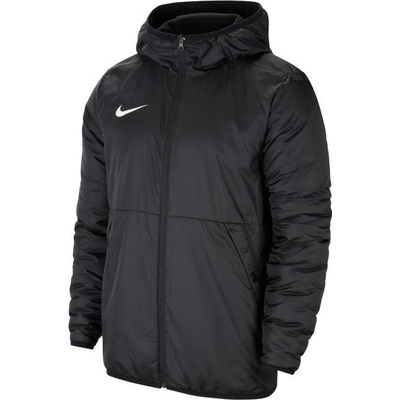 Nike Team Park 20 Fall CW6157 010