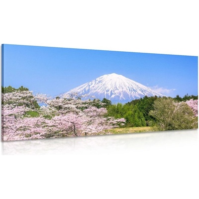 Obraz hora Fuji