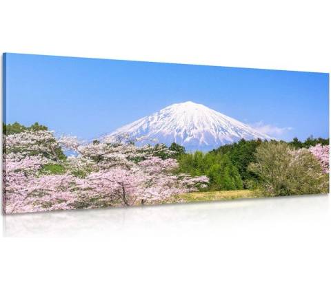 Obraz hora Fuji