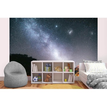 DIMEX ART s. r. o Самозалепваща се флизелинова фототапета великолепен млечен път път 375 x 250 см