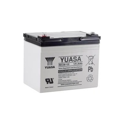 Yuasa REC36-12 YUAREC3612 36Ah 12V