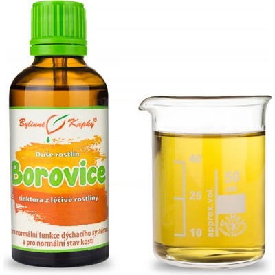 Bylinné kapky Borovica kvapky Duša rastlín tinktúra 50 ml