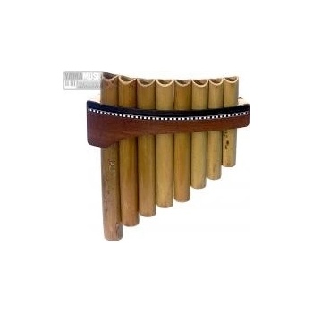 Gewa Premium C dur 8