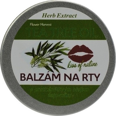 Vivaco Herb extrakt Balzám na rty s Tea Tree Oil herb extract 25 g – Hledejceny.cz