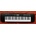 Casio CTK 240