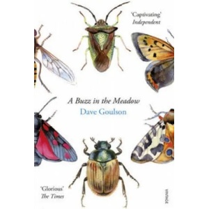 Buzz in the Meadow | Dave Goulson (ISBN: 9780099597698)
