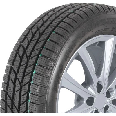 Profil Pro All Weather 205/55 R17 91H