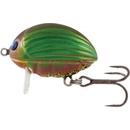 Salmo LIL`BUG 2 GBG