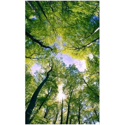 DIMEX ART Флизелинов фототапет дървета в облаците 150 x 250 см