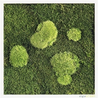 Machový obraz styleGREEN lesný mach a machové gule 35x35cm