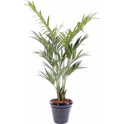 Umělá palma Kentia 12 větví, 190cm