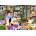 Pieces & Peace - Puzzle Reading Book - 1 000 piese
