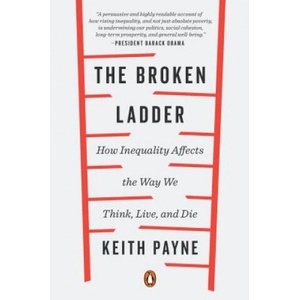 Broken Ladder (ISBN: 9780143128908)
