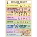 Slovné druhy