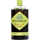 Hendrick's Gin Amazonia 43,4% 1 l (holá láhev)