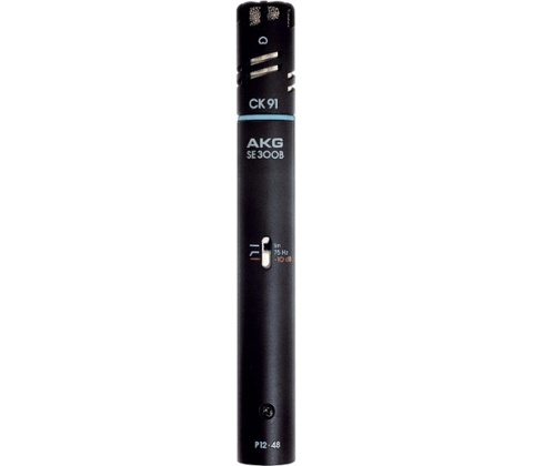 AKG C 391