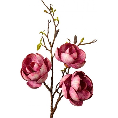 Dekorace umělá větvička Magnólie s růžovými květy - 20*20*106 cm - Clayre & Eef