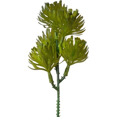 ZÁPICH SUKULENT TMAVO ZELENÝ 18CM
