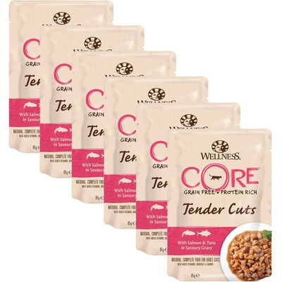 Wellness Core Tender Cuts сьомга и риба тон 6 x 85 г