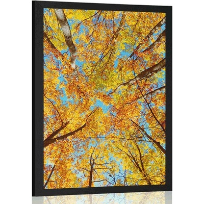 Plakát podzimní koruny stromů - 20x30 white