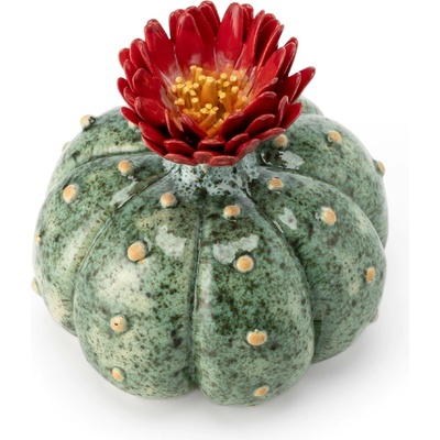 Jaure.ART Keramický kaktus - Astrophytum asterias