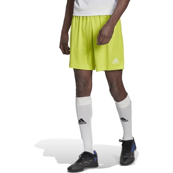 Adidas team Къси панталони Entrada 22