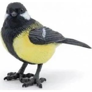 Papo Modra tit