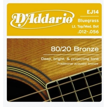 DAddario EJ14