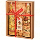 Kitl Syrob Zázvorový a Jablko a křížaly 2 x 0,5 l