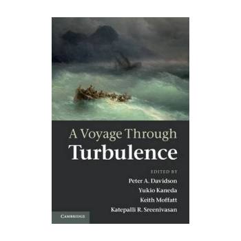 A Voyage Through Turbulence - Peter A. Davidson