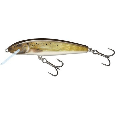 Salmo Minnow Floating Grayling 7cm 6g