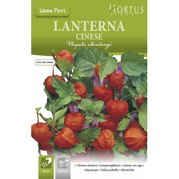 Hortus Физалис (Китайски фенер) Physalis Alkenkengii
