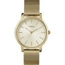 Timex TW2R36100