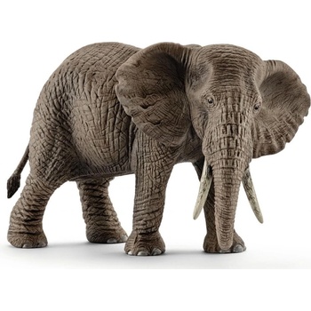Schleich Slon africký samica