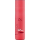 WELLA Invigo Color Brilliance Shampoo Fine Normal šampon pre farbené vlasy 300 ml
