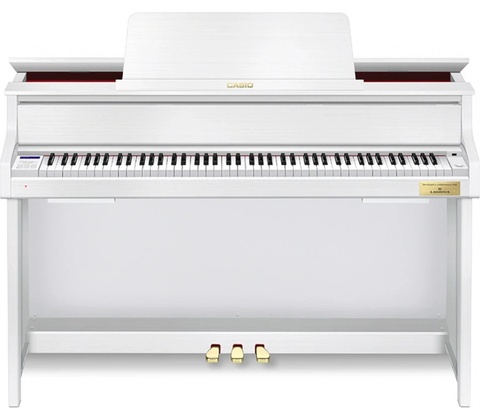 Casio GP-310