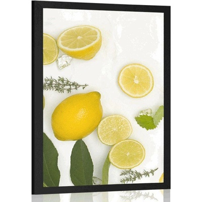 Plakát směs citrusových plodů - 40x60 black