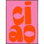 Styler Картина 50x70 cm Ciao - Styler (OB-22701)