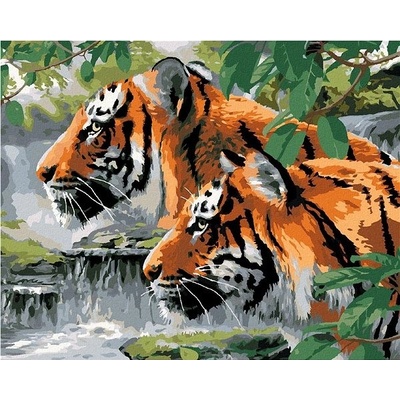 zuty Malování podle čísel Vyhlížející tygři u řeky Howard Robinson 40 x 50 cm vypnuté plátno na rám