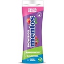 Mentos sprchový gél a šampón 300 ml