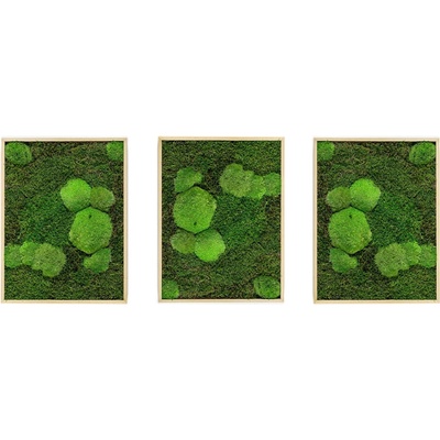 Gardners Set 3 mechových obrazů 30x40 kombinovaný mech kopečkový s plochým, přírodní