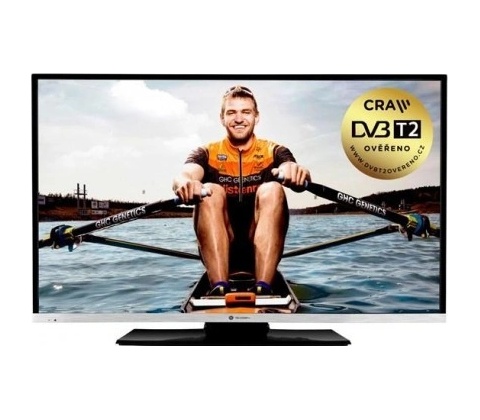 GoGEN TVF 43N384S