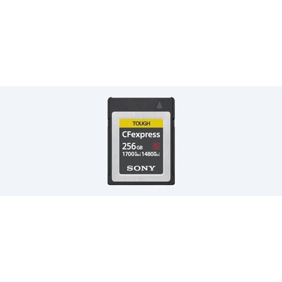 Sony 256 GB CEBG256