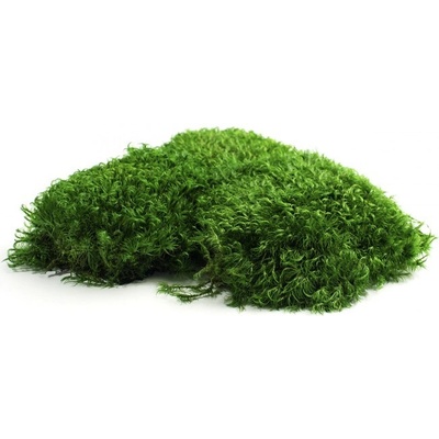 Stabilizovaný mach bochníčky 0,25 kg - tmavo zelený