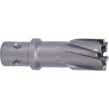 ABSE N-CA-F18-0240050