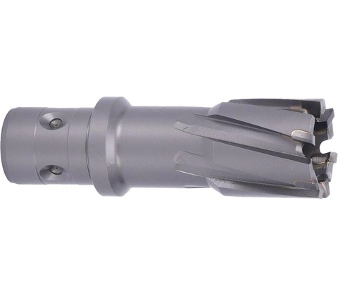 ABSE N-CA-F18-0240050