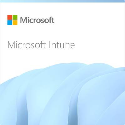 Intune Remote Help for FLW - годишен абонамент (1 година) (CFQ7TTC0RHGC-0001_P1YP1Y)